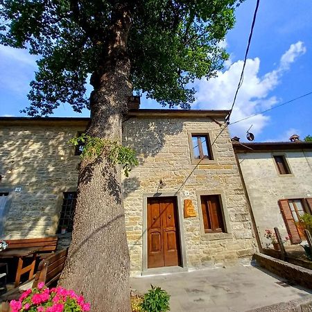 Casina La Quercia Διαμέρισμα Santa Sofia Εξωτερικό φωτογραφία