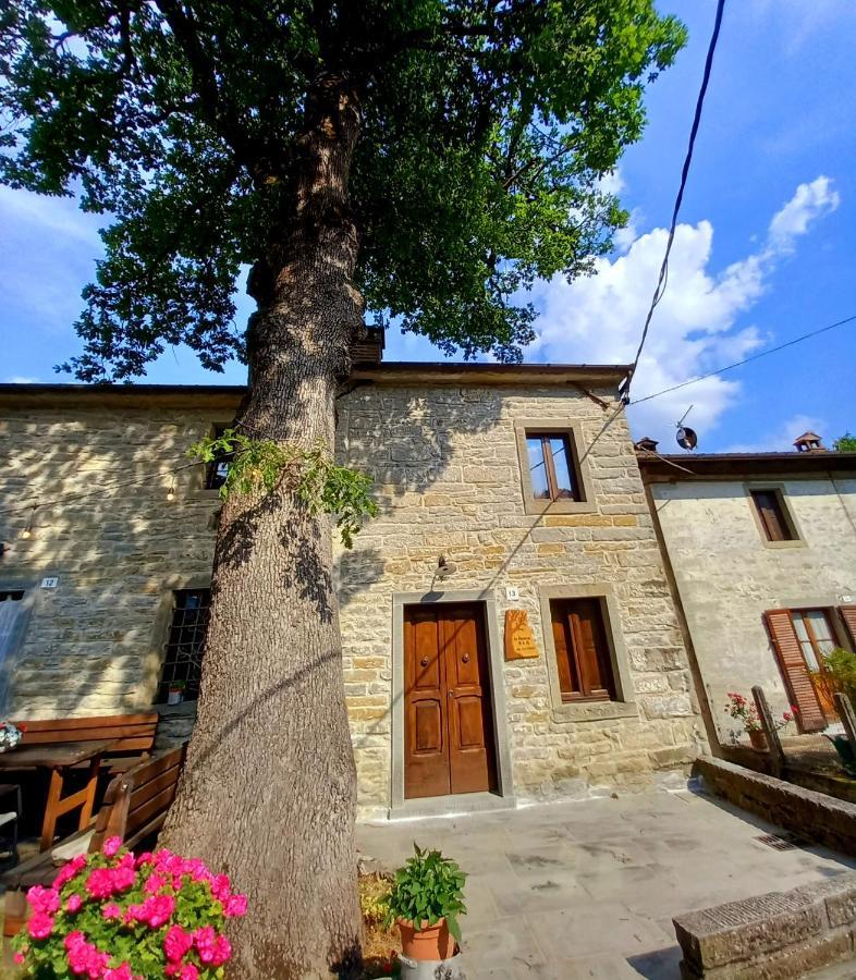 Casina La Quercia Διαμέρισμα Santa Sofia Εξωτερικό φωτογραφία