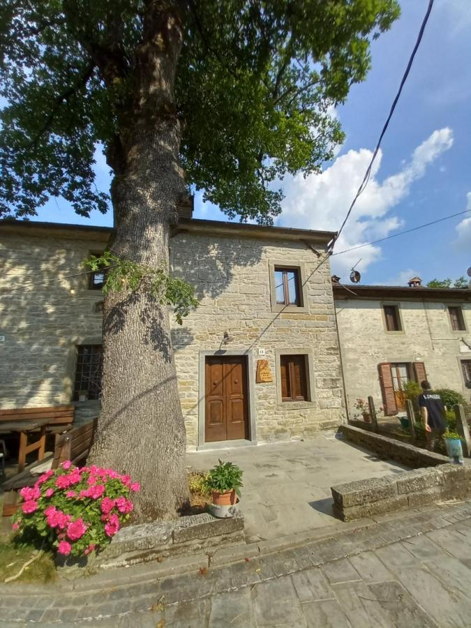 Casina La Quercia Διαμέρισμα Santa Sofia Εξωτερικό φωτογραφία