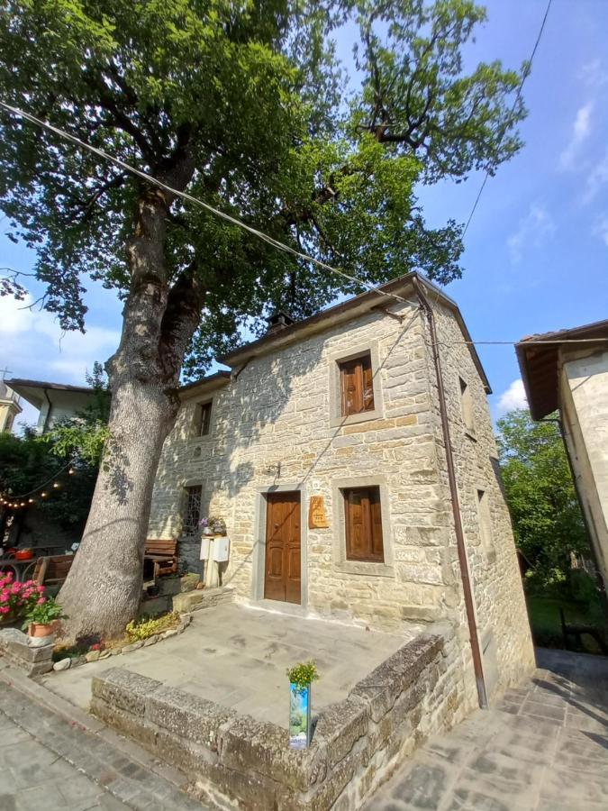 Casina La Quercia Διαμέρισμα Santa Sofia Εξωτερικό φωτογραφία
