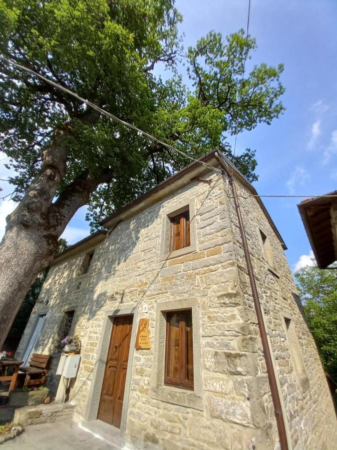 Casina La Quercia Διαμέρισμα Santa Sofia Εξωτερικό φωτογραφία